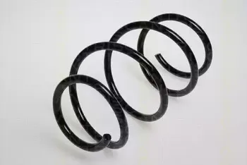 triscan-87501159