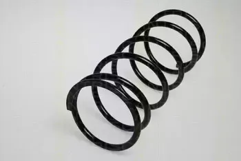 triscan-87501331