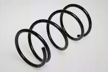 triscan-87501352