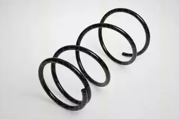 triscan-87501374