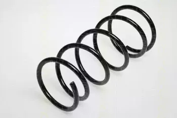 triscan-87501375