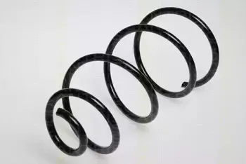 triscan-87501531