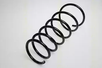 triscan-87501563