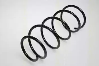 triscan-87501657