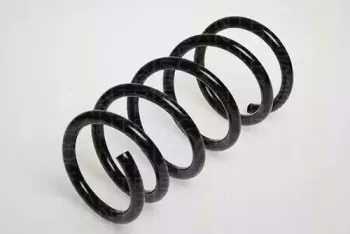 triscan-87501679