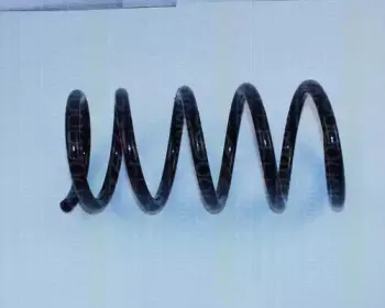 triscan-87501680