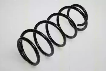triscan-875024007