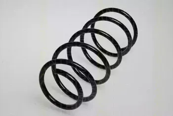 triscan-87502453