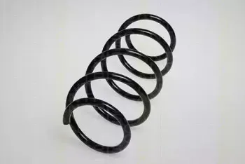 triscan-87502565