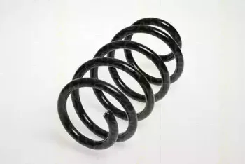triscan-87502571