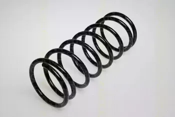 triscan-87502713