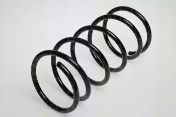 triscan-87502831