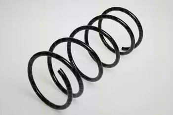 triscan-87502836