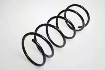 triscan-87502837