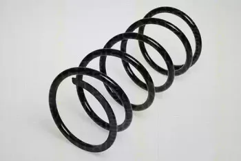 triscan-87504223