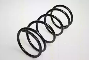 triscan-87504239
