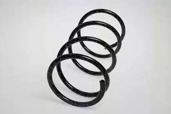 triscan-87504250