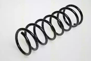 triscan-87504306