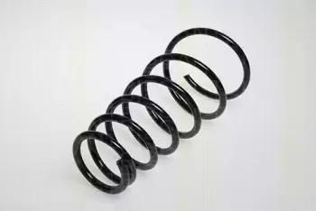 triscan-87504335