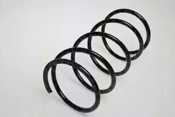 triscan-87505017