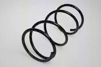 triscan-87505020