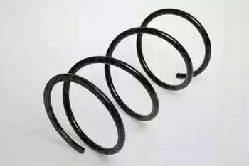 triscan-87505035