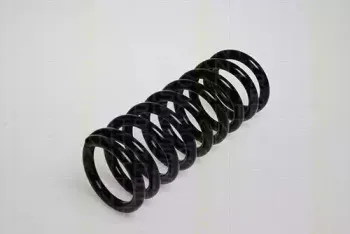 triscan-87506504f