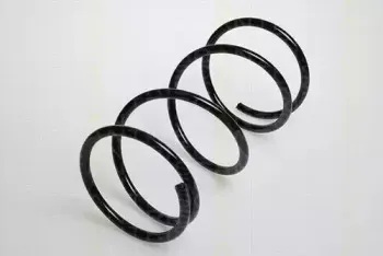 triscan-87506802