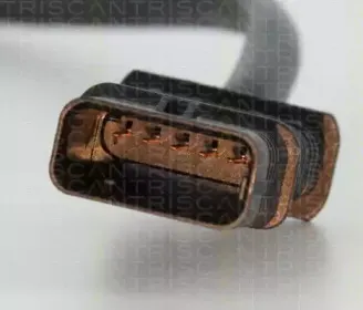 triscan-884511050