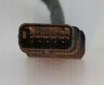 triscan-884511061