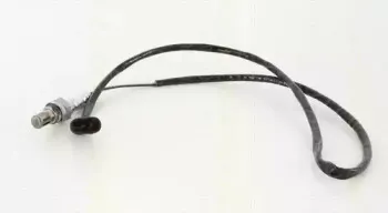 triscan-884512030