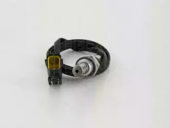 triscan-884512043