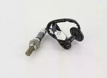 triscan-884513021