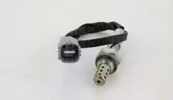 triscan-884513027