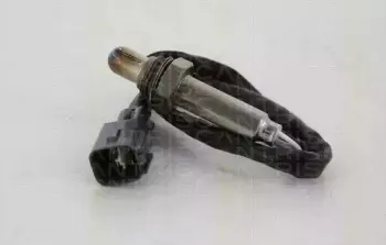 triscan-884513034