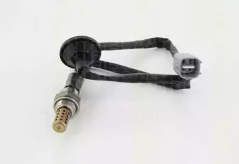 triscan-884513040