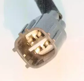 triscan-884513062