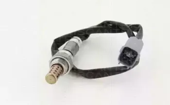 triscan-884513133