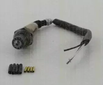 triscan-884513171