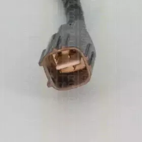 triscan-884513501