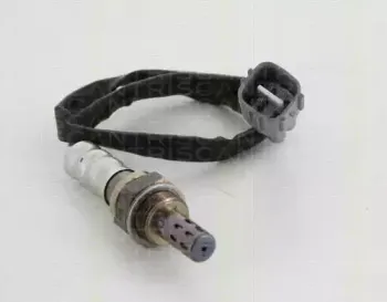 triscan-884513503