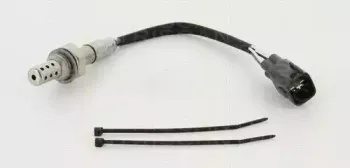 triscan-884513527