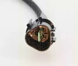 triscan-884513527