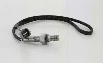 triscan-884513544
