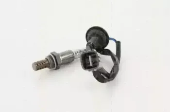 triscan-884513550