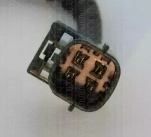 triscan-884514114