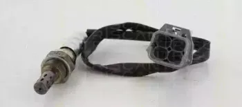 triscan-884514521