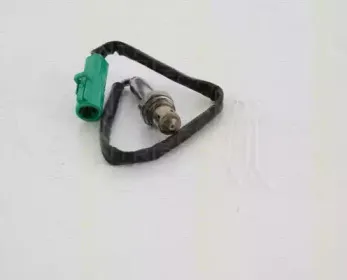 triscan-884516014