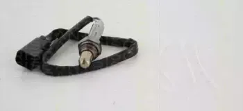 triscan-884516021