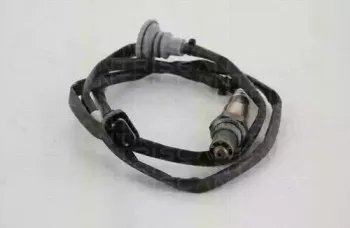 triscan-884517014